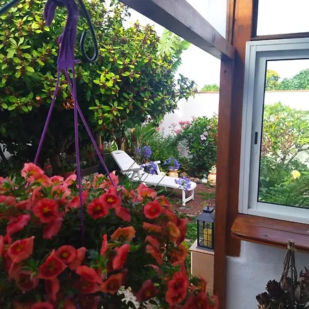 2faros Apartament La Guancha